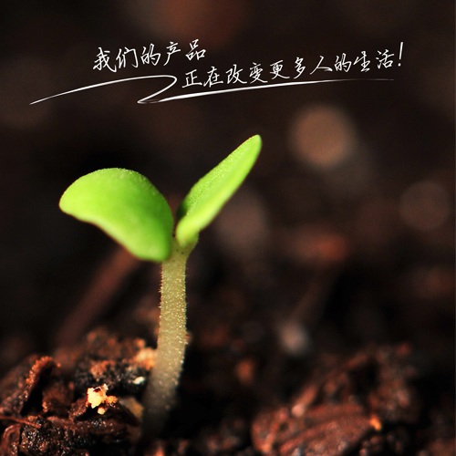 宣傳設計-自然永恒土雞蛋宣傳設計|四川自然永恒生態農業開發有限公司宣傳物料設計|海報折頁廣告宣傳單設計
