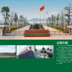 設計一本畫冊多少錢？
