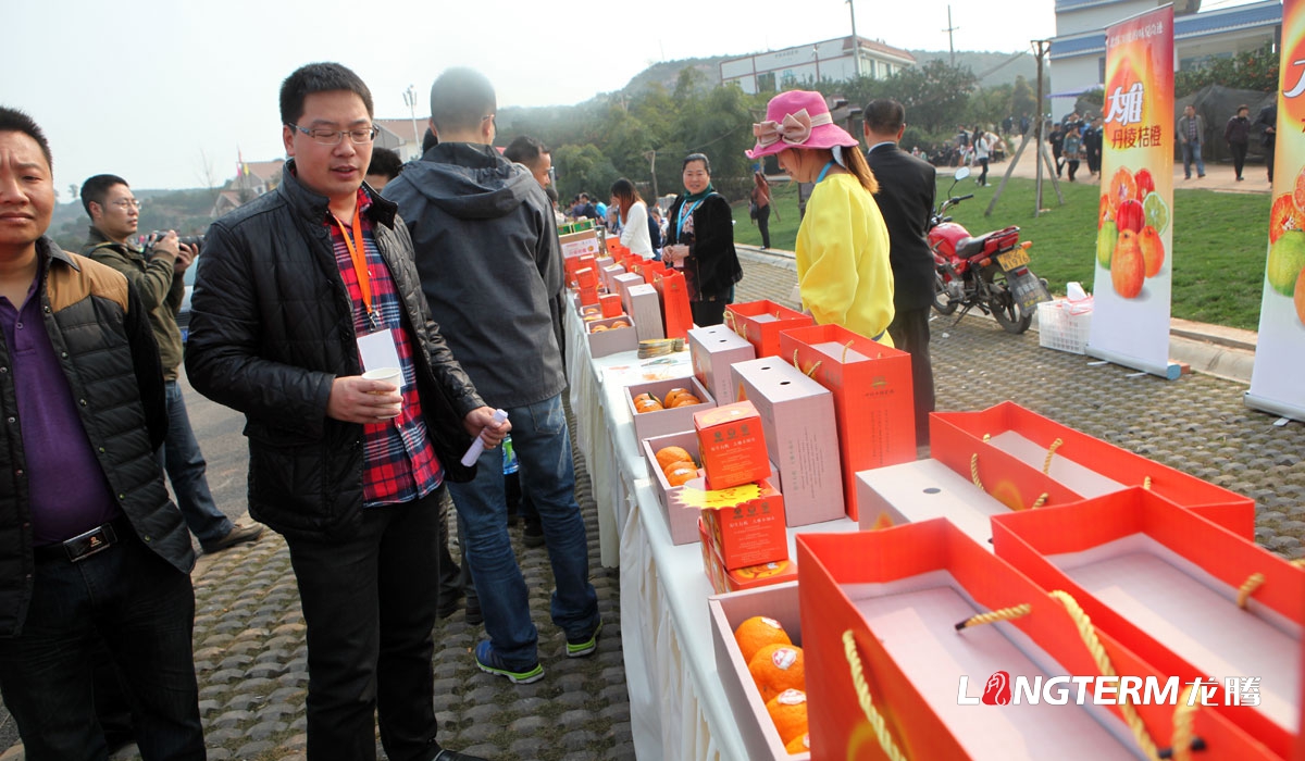 丹棱縣不知火品牌營銷策劃公司|眉山市水果桔橙種植基地丑柑愛媛春見清見耙耙柑大雅柑品牌推廣活動執行公司