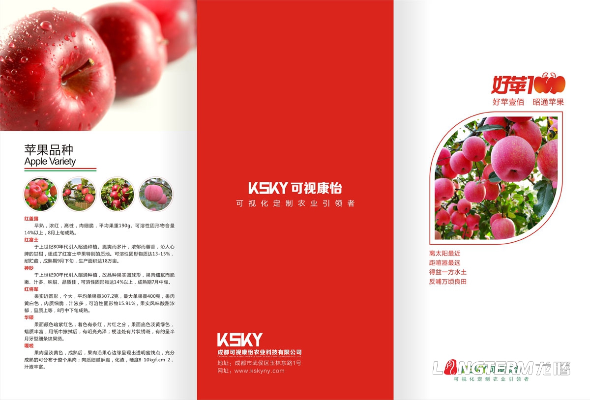 好蘋100品牌形象設計及新品發布會策劃|水果蘋果品牌策劃設計營銷宣傳推廣新品發布會邀請函LOGO設計