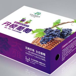 包裝設計品牌論｜產品包裝設計對企業品牌價值提升的重要性