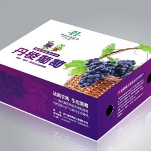 食品包裝創意設計的三大基本要求