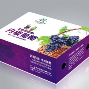 紅酒包裝設計怎樣更吸引大家眼球？