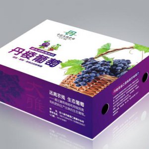 企業選擇品牌策劃公司，需要考慮哪些因素？