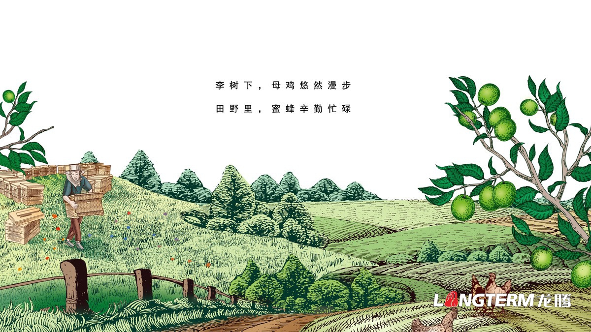 達州市大竹縣李子園水果包裝箱設計公司_李子禮盒彩箱手繪原創設計效果圖