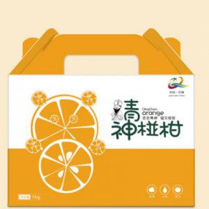 怎樣提高西安策劃中畫冊設計公司的知名度？
