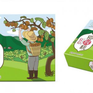 品牌發展戰略的基本模式